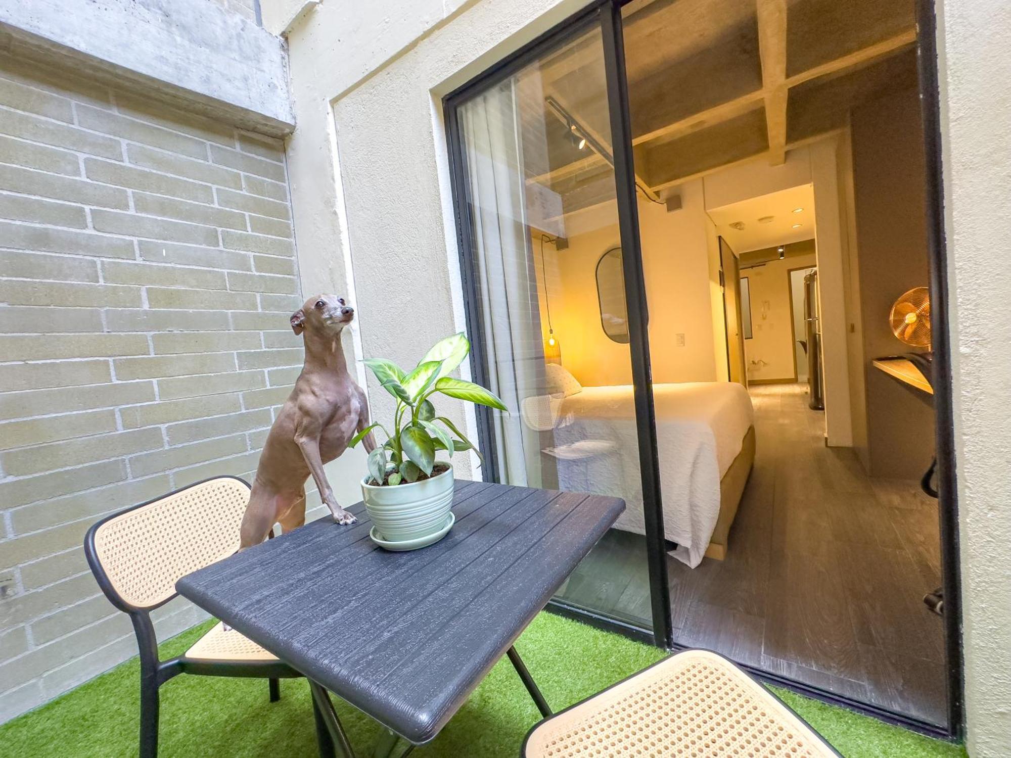 B 48 Living By B Rent Apartment Меделин Екстериор снимка